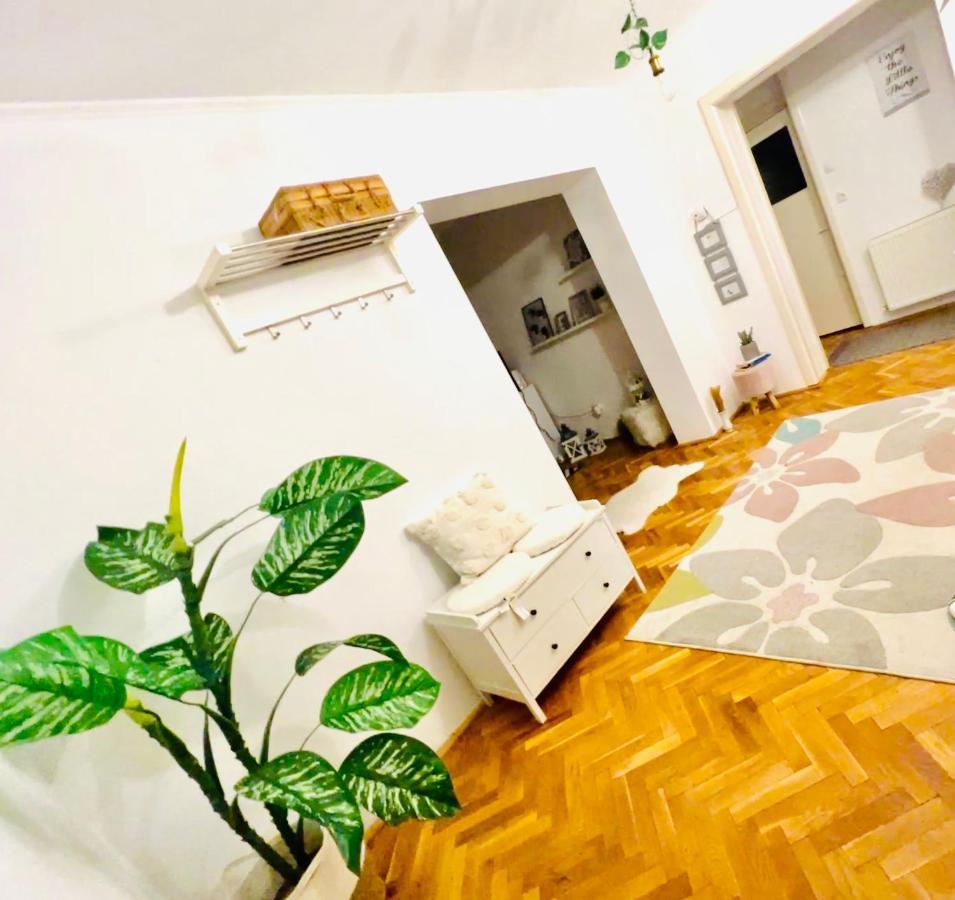 Caroline Residence 阿尔巴·尤利亚· 外观 照片